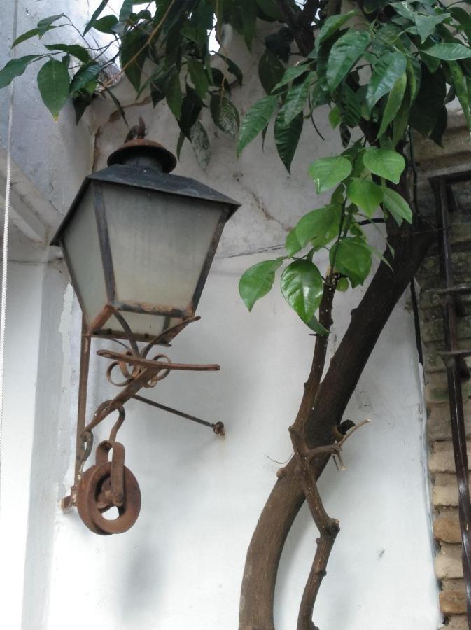 Hotel Albucasis Κόρδοβα Εξωτερικό φωτογραφία
